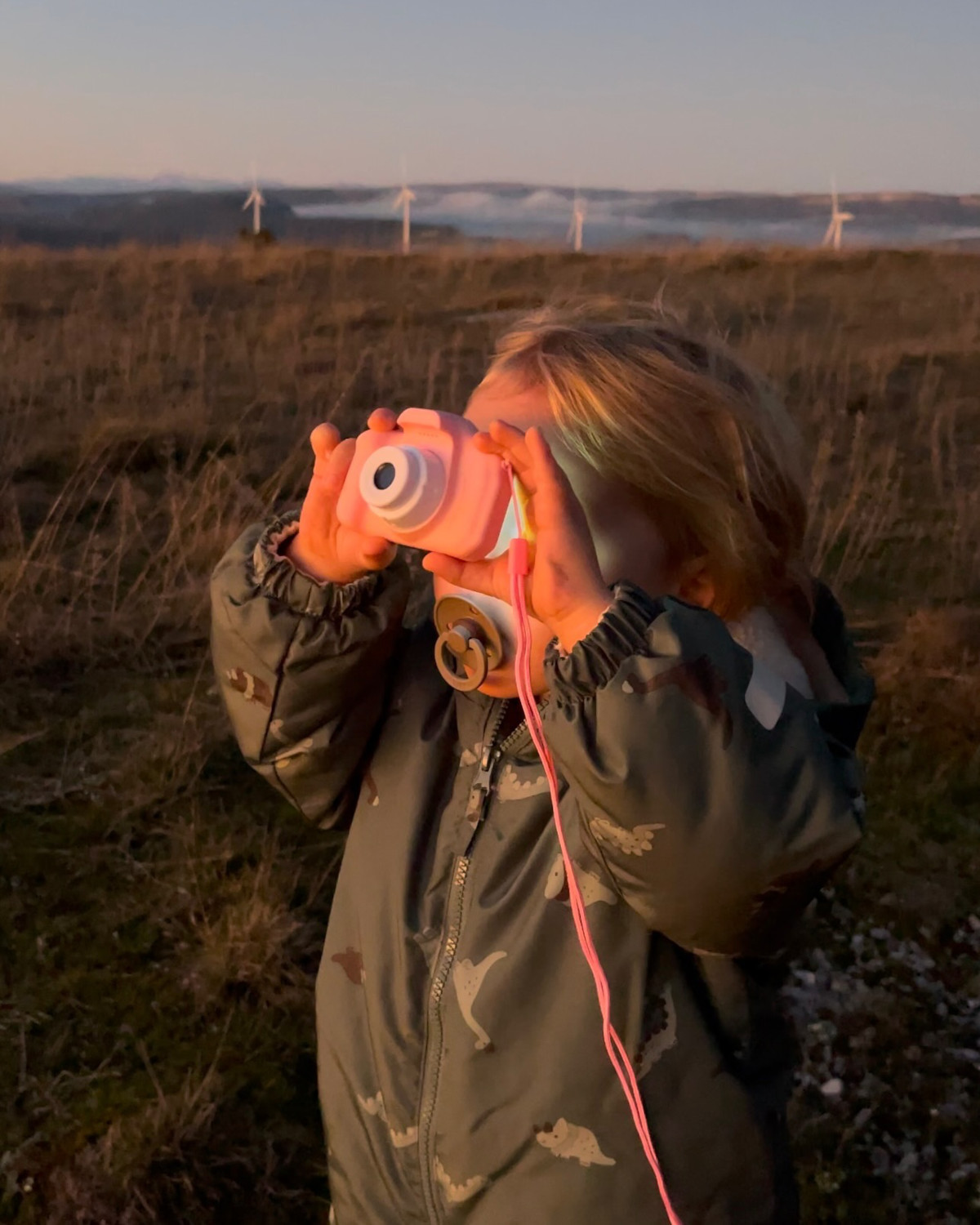 Image stabilization – sharper photos without blurring